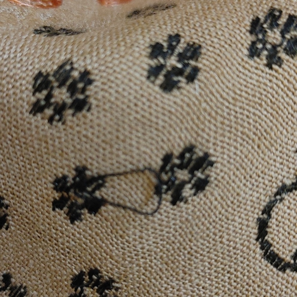 Roop Sari Palace Kashmiri Shawl Tan - Picture 15 of 16